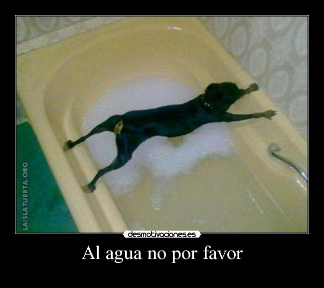 Al agua no por favor -
