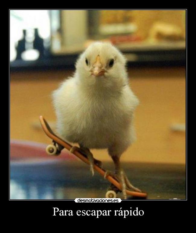 Para escapar rápido -