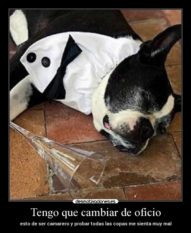 Tengo que cambiar de oficio -