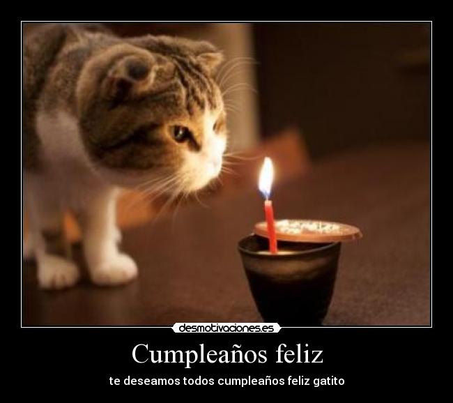 Cumpleaños feliz - te deseamos todos cumpleaños feliz gatito