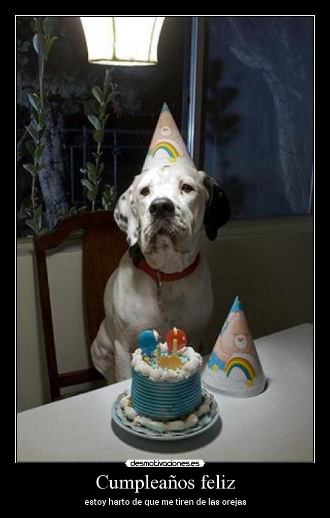 carteles sdf desmotivaciones