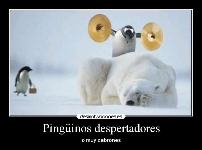 carteles dfsd desmotivaciones