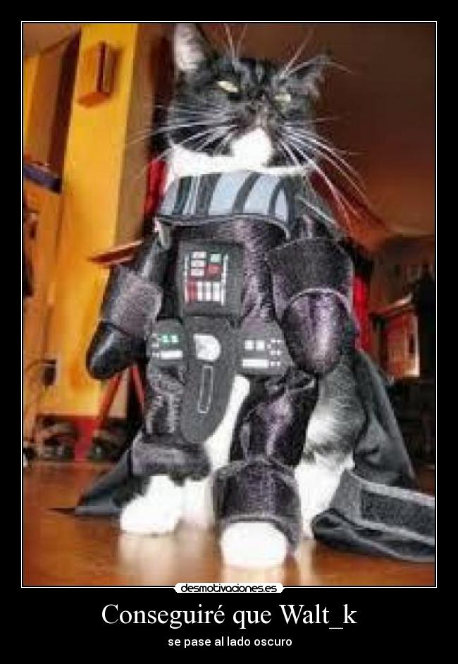Conseguiré que Walt_k -
