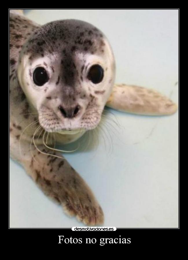 Fotos no gracias -