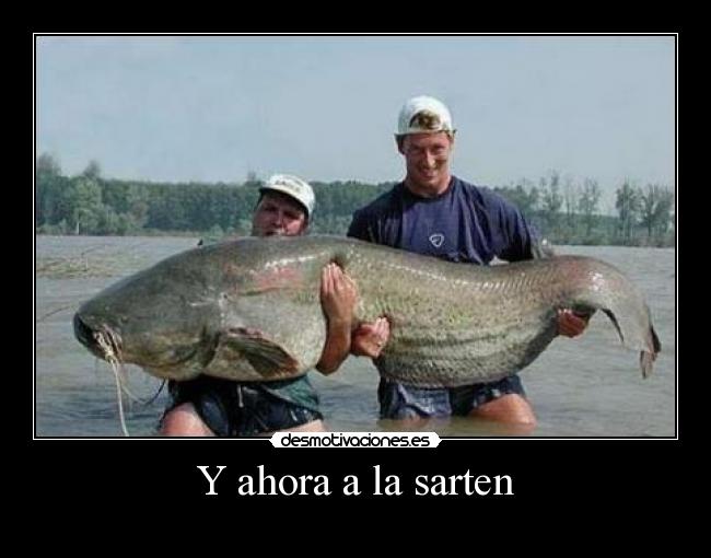 Y ahora a la sarten -