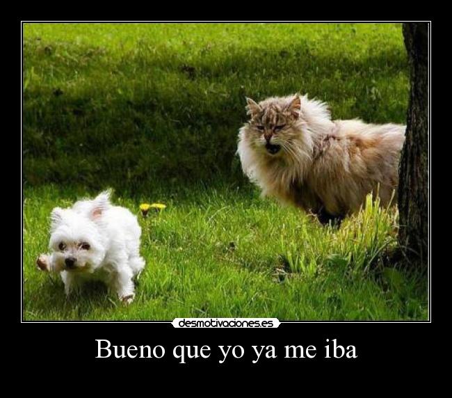 Bueno que yo ya me iba -