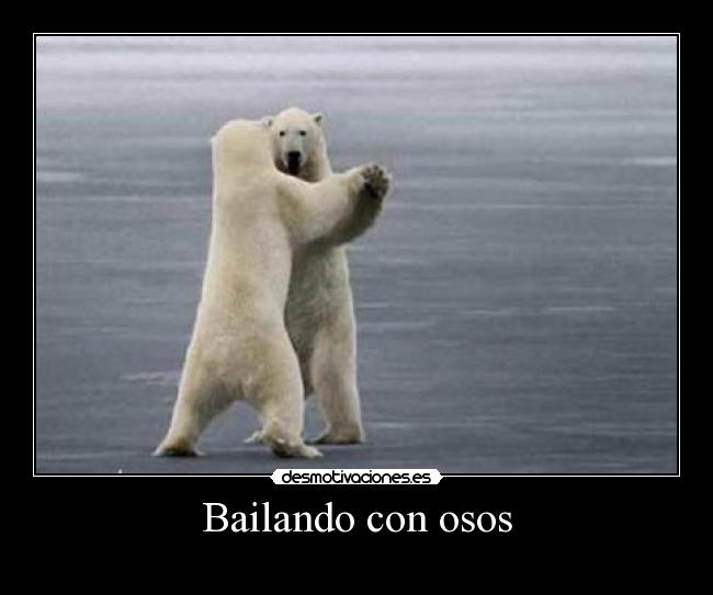 Bailando con osos -