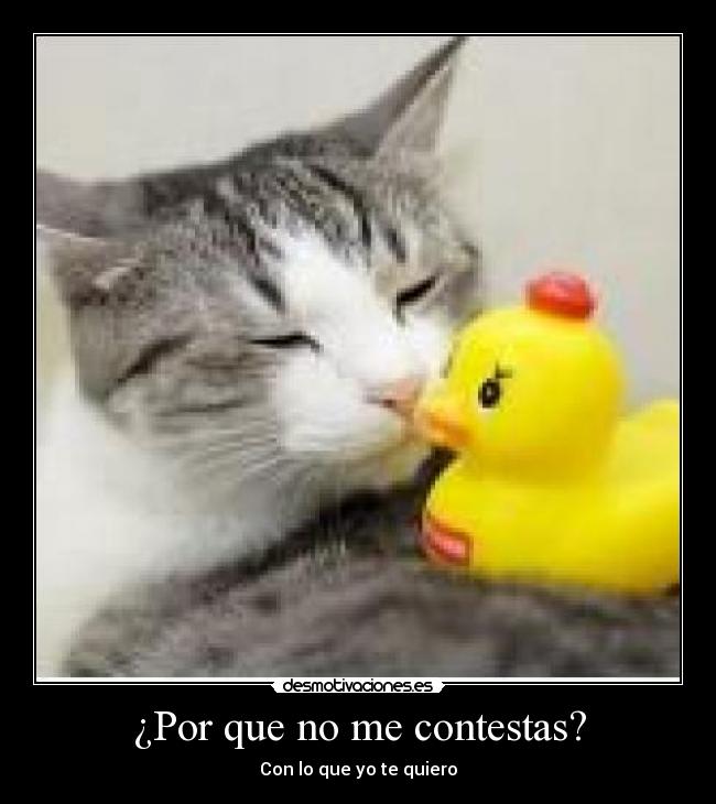 ¿Por que no me contestas? - Con lo que yo te quiero