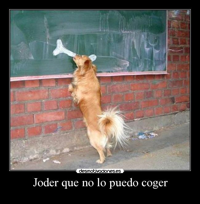 Joder que no lo puedo coger -