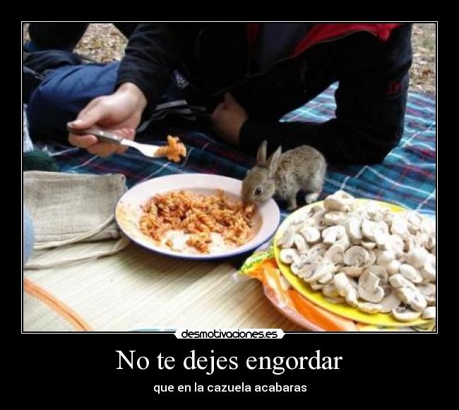No te dejes engordar - 