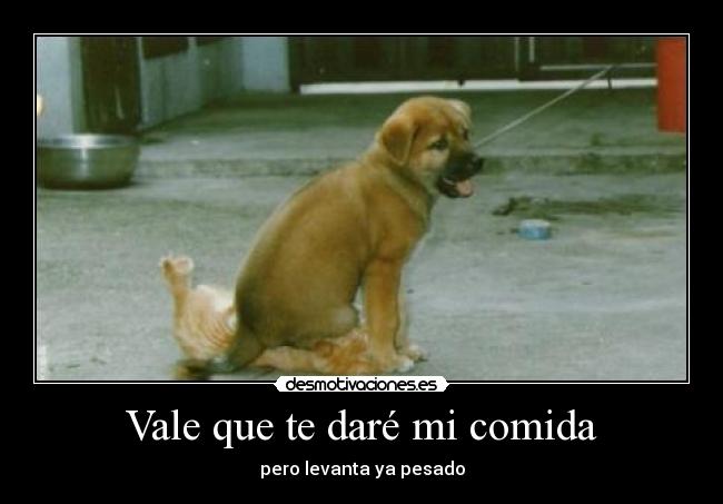 Vale que te daré mi comida - pero levanta ya pesado