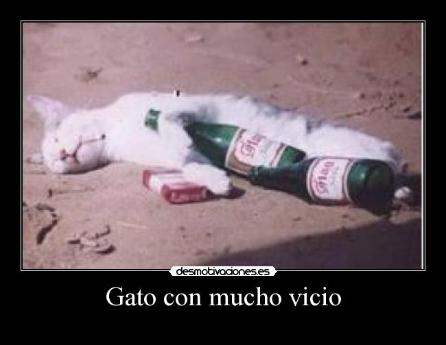 carteles erwfa desmotivaciones