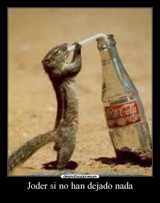 Joder si no han dejado nada -