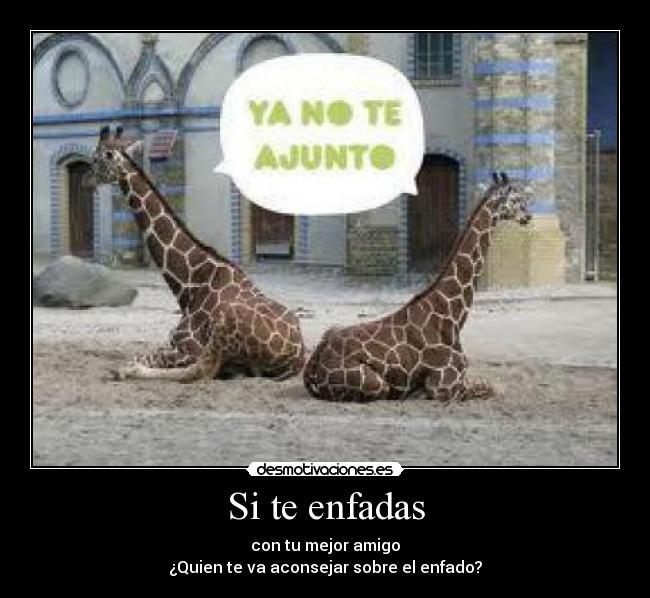 Si te enfadas - con tu mejor amigo
¿Quien te va aconsejar sobre el enfado?