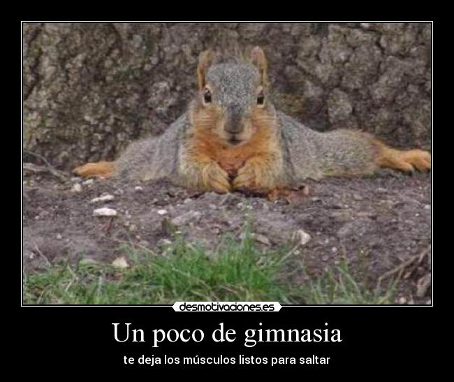 Un poco de gimnasia -