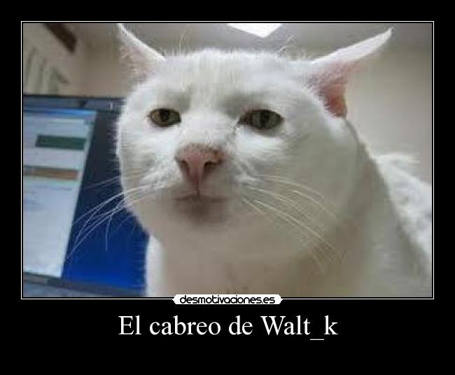 El cabreo de Walt_k -