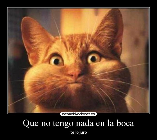 Que no tengo nada en la boca -