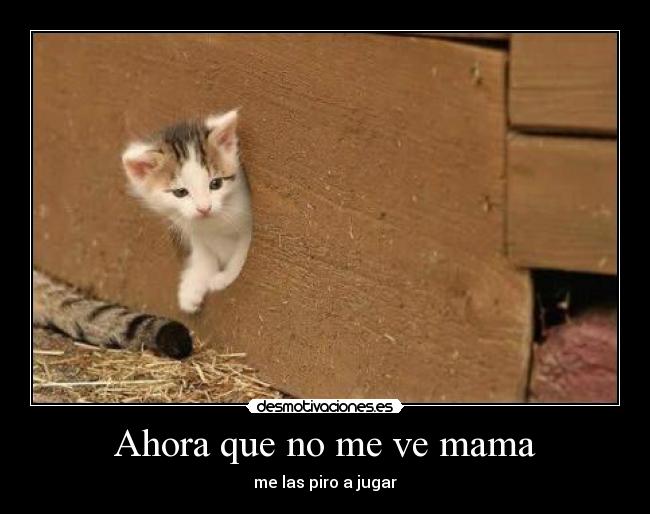 Ahora que no me ve mama - me las piro a jugar