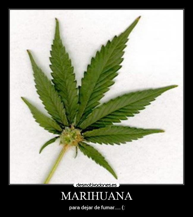 MARIHUANA - para dejar de fumar..... (:
