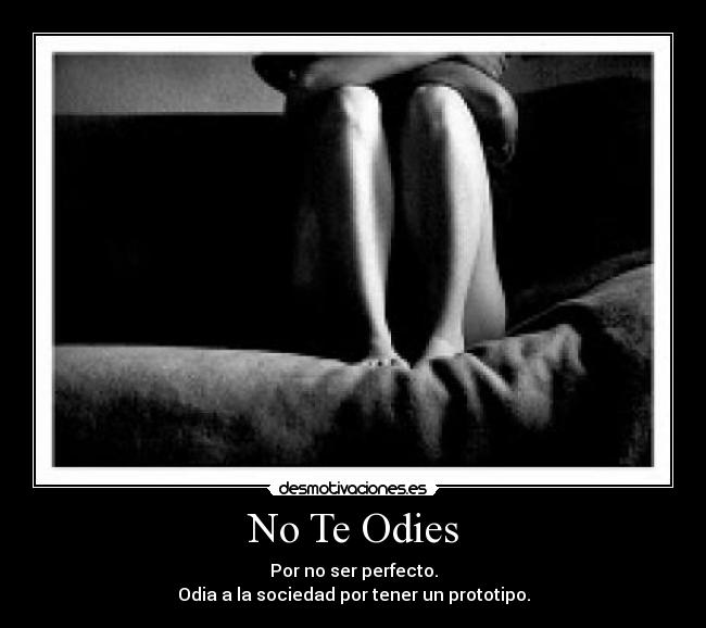 carteles sociedad prototipos leniiz desmotivaciones