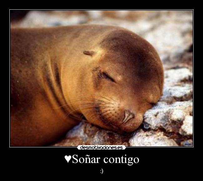 carteles betaniaes06 desmotivaciones