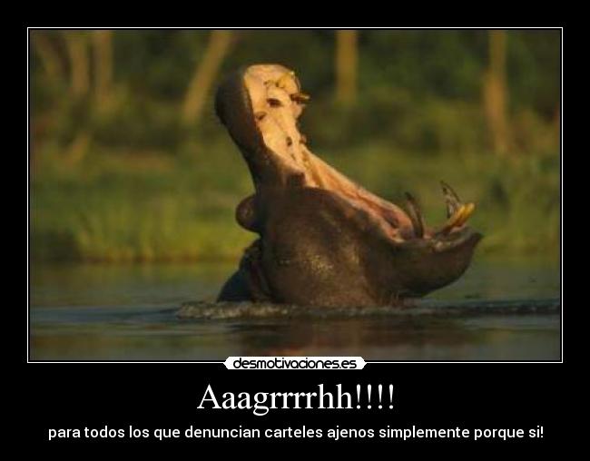 carteles betaniaes06 desmotivaciones