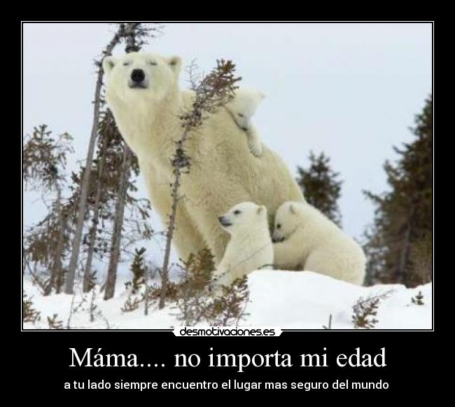 carteles betaniaes06 desmotivaciones