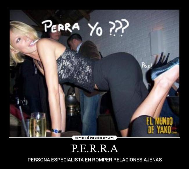 P.E.R.R.A - PERSONA ESPECIALISTA EN ROMPER RELACIONES AJENAS