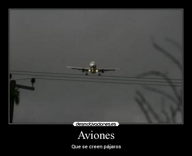 Aviones - Que se creen pájaros