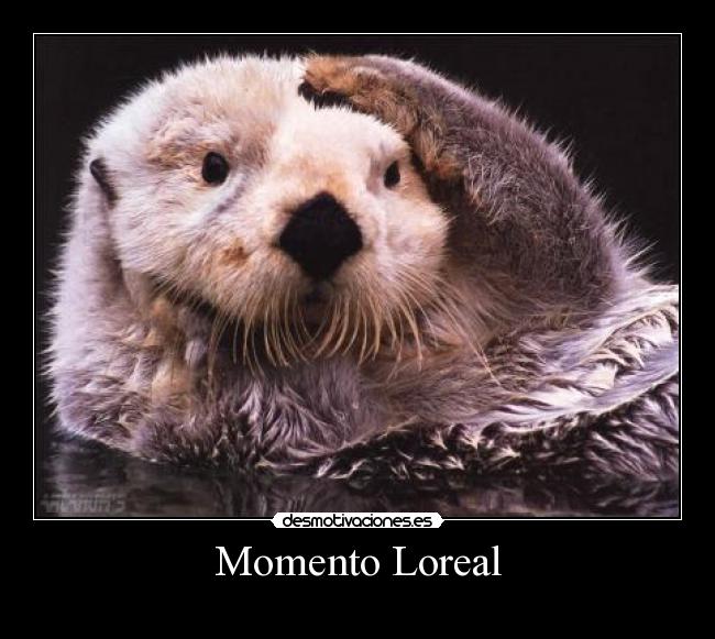 Momento Loreal - 