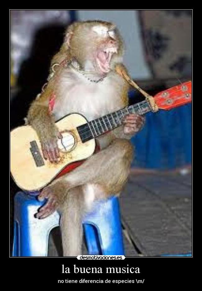 la buena musica - no tiene diferencia de especies \m/