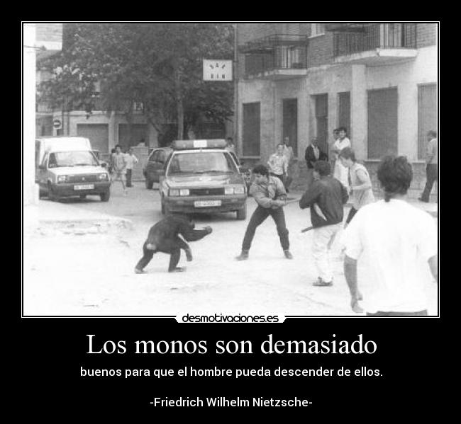 Los monos son demasiado - buenos para que el hombre pueda descender de ellos.
-Friedrich Wilhelm Nietzsche-