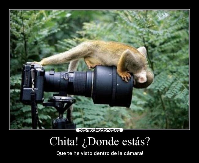 carteles mono quiere robar bollicao del clanvirus desmotivaciones