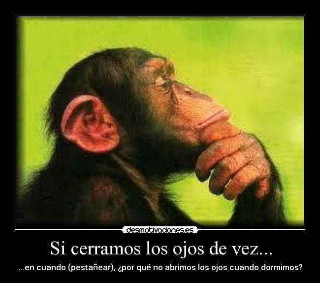 Si cerramos los ojos de vez... - ...en cuando (pestañear), ¿por qué no abrimos los ojos cuando dormimos?