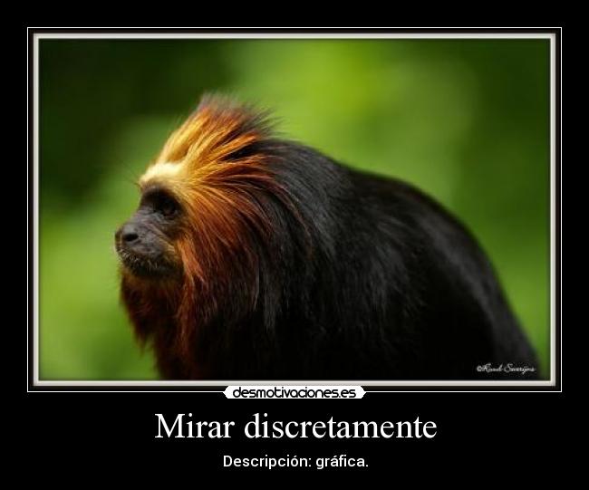 Mirar discretamente - Descripción: gráfica.