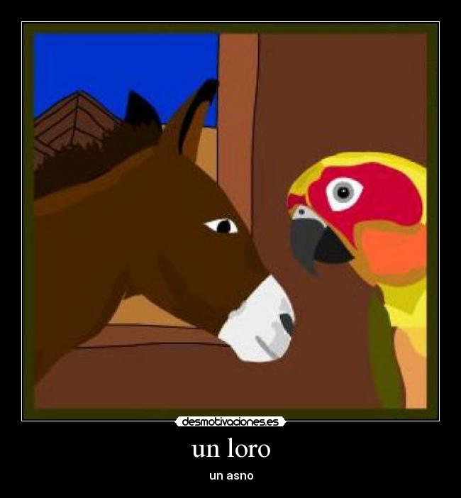 un loro - un asno