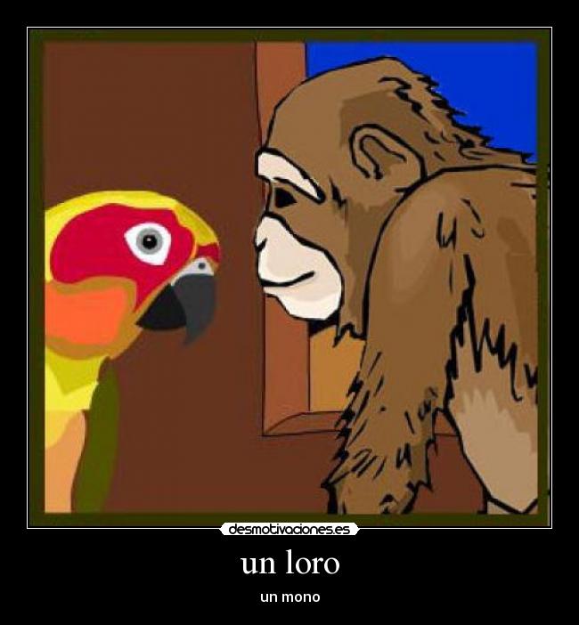 un loro - un mono