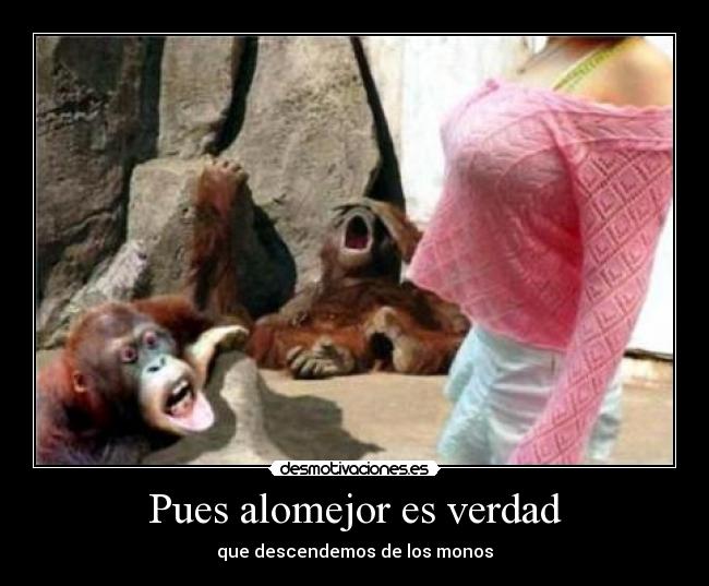 Pues alomejor es verdad - que descendemos de los monos
