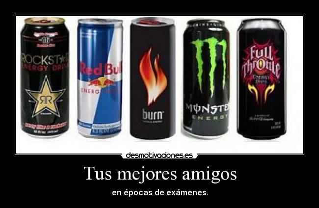 Tus mejores amigos - en épocas de exámenes.
