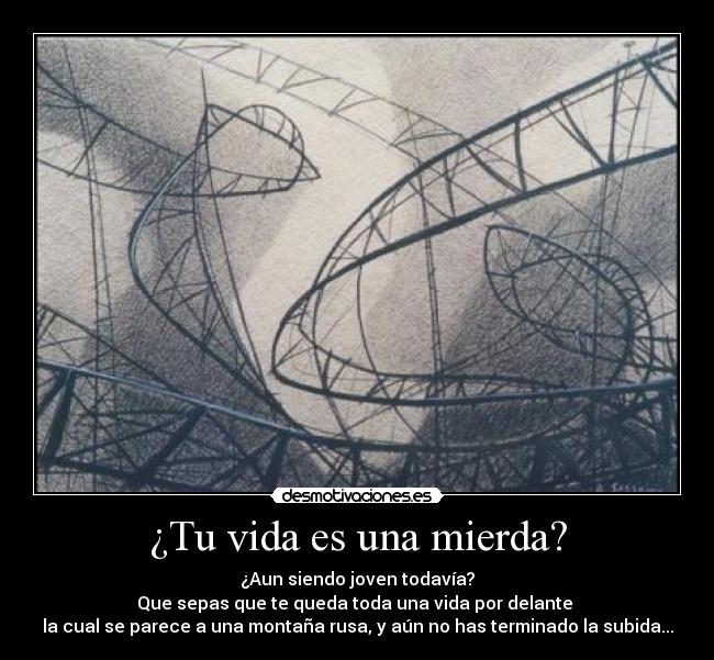 carteles vida clannotenemosclanporquenonosquierenadie montana rusa vida jovenes desmotivaciones