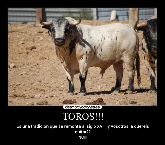 TOROS!!! - 