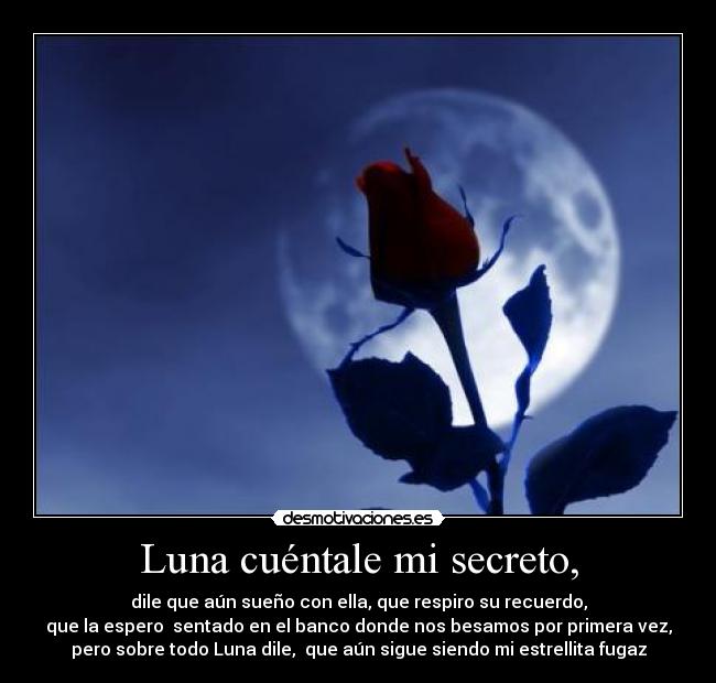 Luna cuéntale mi secreto, - dile que aún sueño con ella, que respiro su recuerdo,
que la espero  sentado en el banco donde nos besamos por primera vez,
pero sobre todo Luna dile,  que aún sigue siendo mi estrellita fugaz