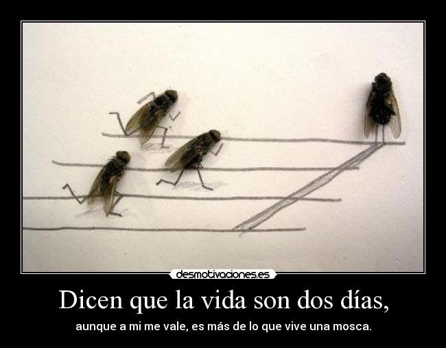 Dicen que la vida son dos días, - aunque a mi me vale, es más de lo que vive una mosca.