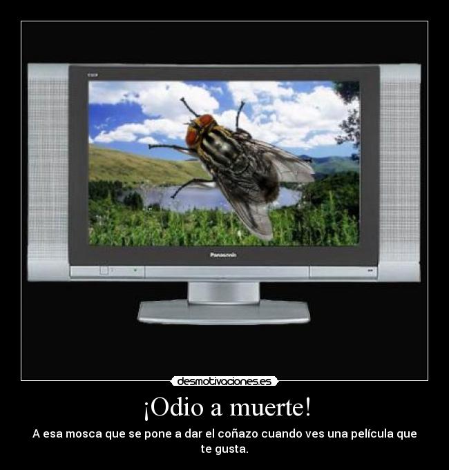 ¡Odio a muerte! -