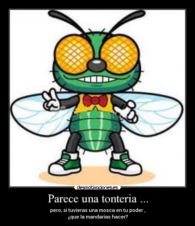 Parece una tonteria ... -