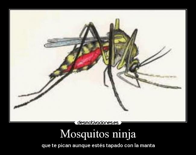 Mosquitos ninja - que te pican aunque estés tapado con la manta