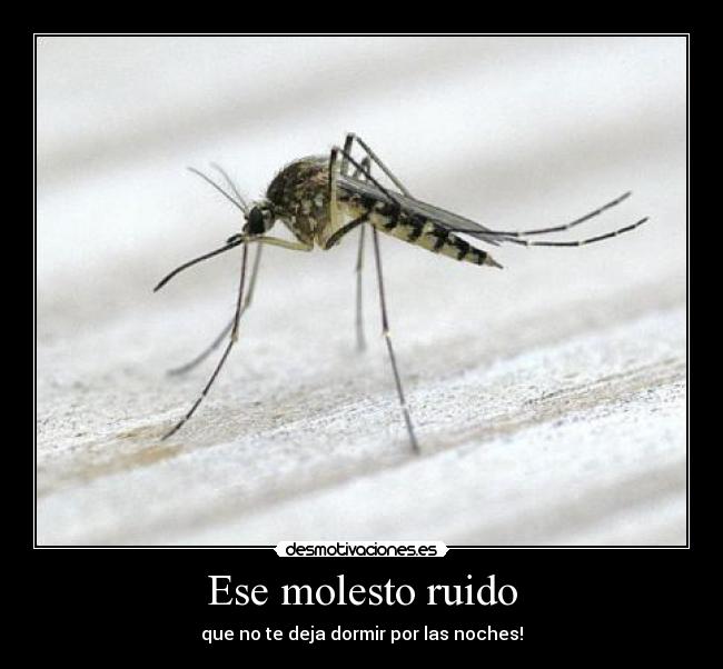 Ese molesto ruido -