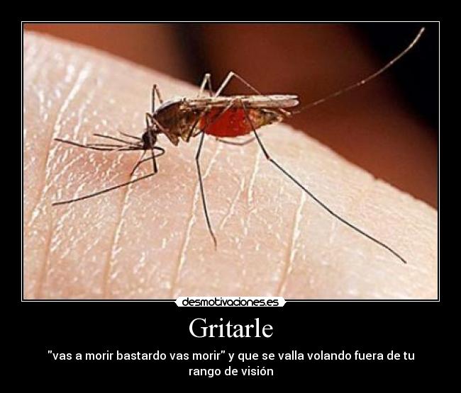 Gritarle - vas a morir bastardo vas morir y que se valla volando fuera de tu rango de visión