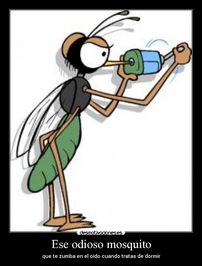 Ese odioso mosquito - que te zumba en el oído cuando tratas de dormir
