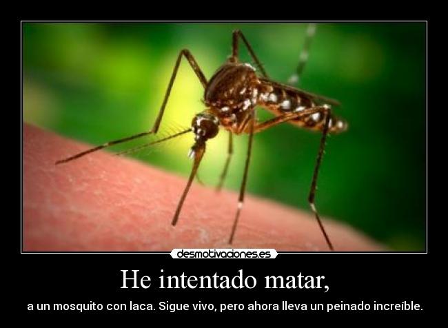 He intentado matar, -
